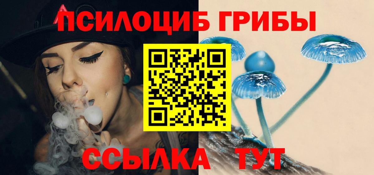 Псилоцибиновые грибы Magic Shrooms Углич