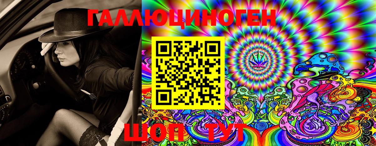 Углич  Галлюциногенные грибы Psilocybine cubensis  Вход с VPN 